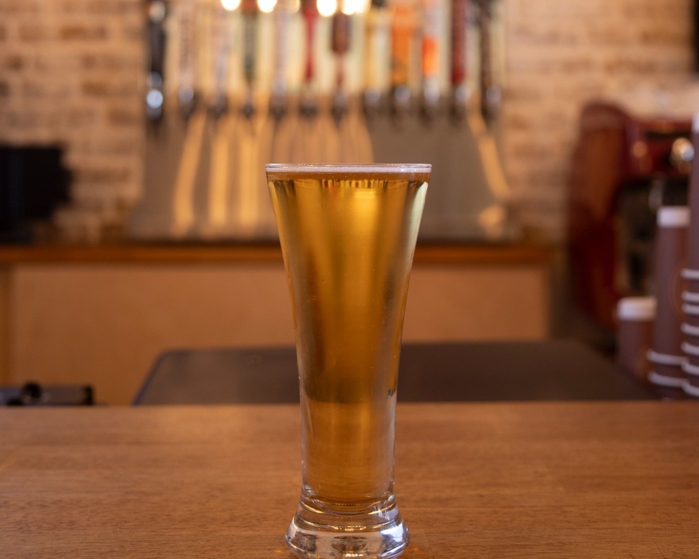 Beer at Barrels & Bean