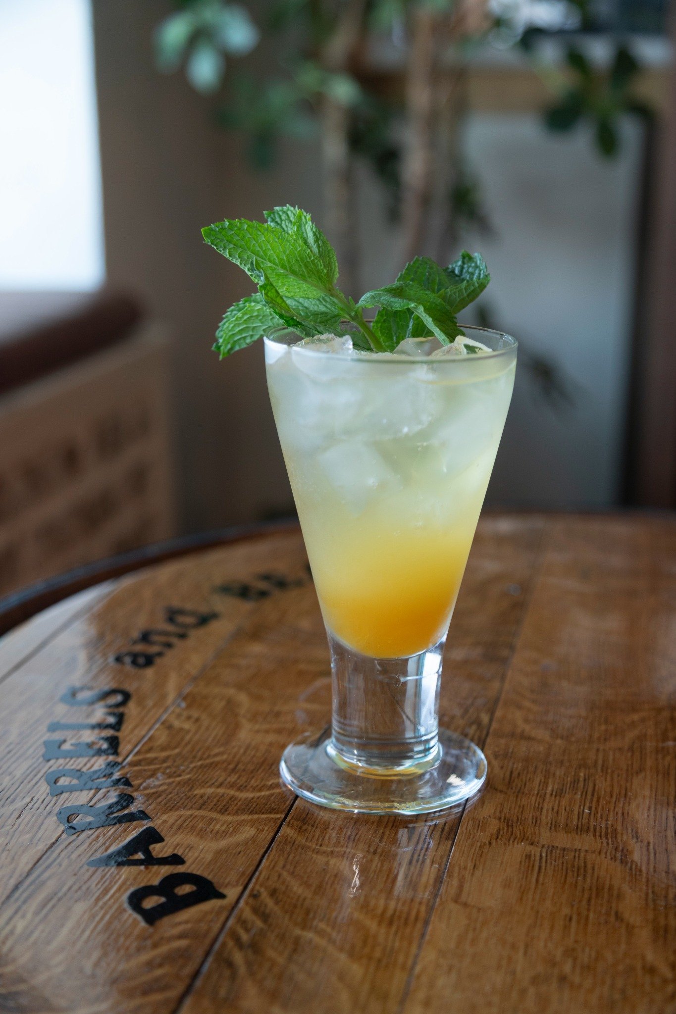 Mint Citrus Cooler